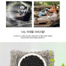 미니펫강아지고양이 - 성동구 성덕정길 96-1 | 미니펫강아지고양이