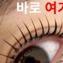 무이무뷰티 이미지