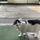 수풍로37번길 이미지