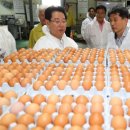 동정농장 이미지