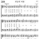 255. 하늘의 여왕 성모 이미지