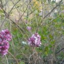 금암농장 이미지