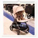 드래곤플라이 - 고양시 덕양구 | 절충형 유모차 부가부 드래곤플라이 플러스 후기