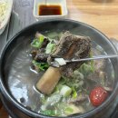 영계언니 | 울산 동구 일산동 갈비탕 맛집 아리아영계백숙 몸보신 후기