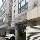 새서울 | [서울] 송파 잠실 새온스튜디오 프로필사진 추천 후기 (반려견동반)