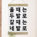 네발로갈때까지 쇼핑하우
