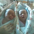 두식농원 이미지