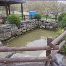 산수유축제장 이미지