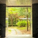 마리경로당 | 여름의 시작