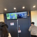 더마파크 공연장 | 제주도 더마파크 후기 | 가족이랑 즐긴 말 공연 &amp; 체험형 관광지