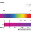 지성테크주 이미지