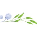 천연발효공방 이미지
