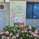 엔젤애견 이미지