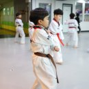 한미태권도장 이미지