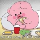보메청담 이미지