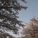 로스터리맨