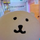 프리미엄 와와 이미지