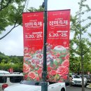 GS25울산옥동점 | 울산대공원 장미축제 2026 입장료 주차정보 주차요금 행사프로그램 직접 다녀온 후기