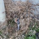 도양우체국 이미지