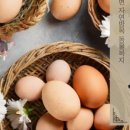 섬진축산 네이버블로그