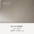 천마아파트 | 대구 시지 천마타운 현관, 주방 벽 퍼플렉스p30 줄눈 시공 후기