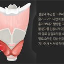 '2cm 미만' 갑상선결절 고주파절제술...법원 "보험금 지급하라" 이미지