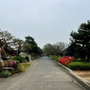 삼원레저타운 | 서산시, 삼원레져타운 캠핑장 방문 후기