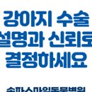 송파스마일동물병원 이미지