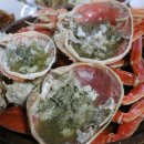 파도대게 이미지