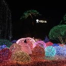 별빛정원B 이미지