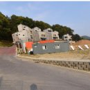 테라미장