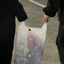 청파농원 이미지