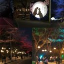 [벚꽃축제]2019렛츠런파크 서울 야간 벚꽃축제(4.6~4.14) 이미지