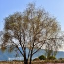 다산농축수산물도매센타 이미지