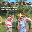정원농장 | [공지] 아이랑 구미 농부의정원 체험농장 9월 미니사과따기 패키지 후기