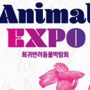 렙타일코리아 이미지