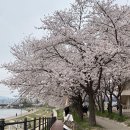 154기 2중대 1소대 30번 021008 이동훈 이미지