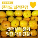 대봉상사
