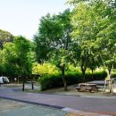 숲속의야영장 이미지