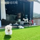 이종무로128번길 이미지