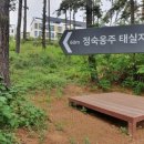 정숙옹주태실비 이미지