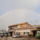 한방오리탕 이미지