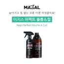 이지스헤어 네이버블로그