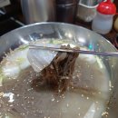 양은이네 동태탕 보쌈 월곡점 이미지