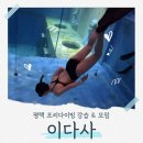 내 손으로 직접 만들며 체험하는 코딩 기술(입문) | 평택프리다이빙강습, 프리다이빙모임 이다사 | 잠수 30초도 못 참던 내가 5M 풀장 성공한 후기