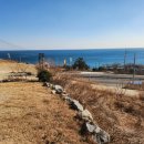 영덕공인중개사무소 이미지