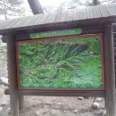 대관령솔내음오토캠핑장 이미지