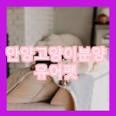 안양펫 이미지