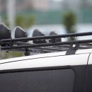 디테일킹 이미지