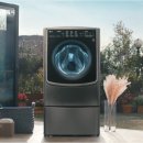 백조세탁 이미지